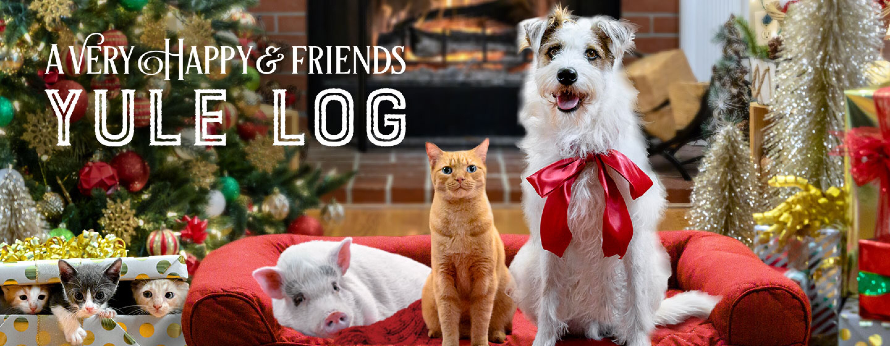 A Very Happy Yule Log