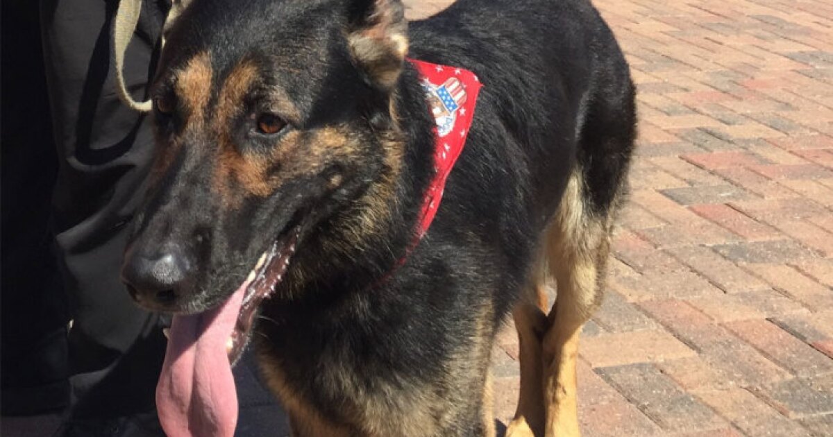 Adak Military Dog Hero Dog Awards 2017