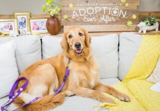 Adoption Ever After – Lollipop - Home & Family