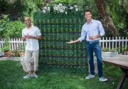 DIY Wine Wall - Home & Family