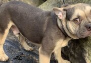 Adoption Ever After - Monarch - Home & Family