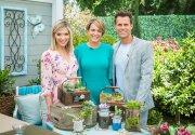 DIY Recycled Succulent Jars - Home & Family