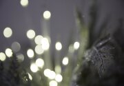 Peter Porte - Fellowship - 8 Days ’Til Christmas