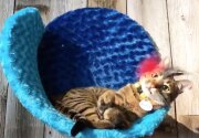 Adoption Ever After - Berlin - Home & Family