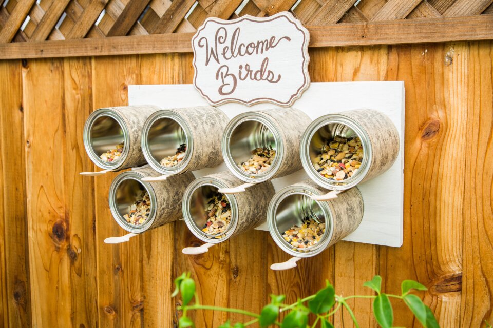 DIY Recycled Bird Feeder | Home & Family