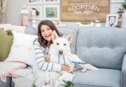 Pet Adoption - Luxe - Home & Family