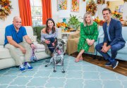 Happy Tails - Apollo - Home & Family