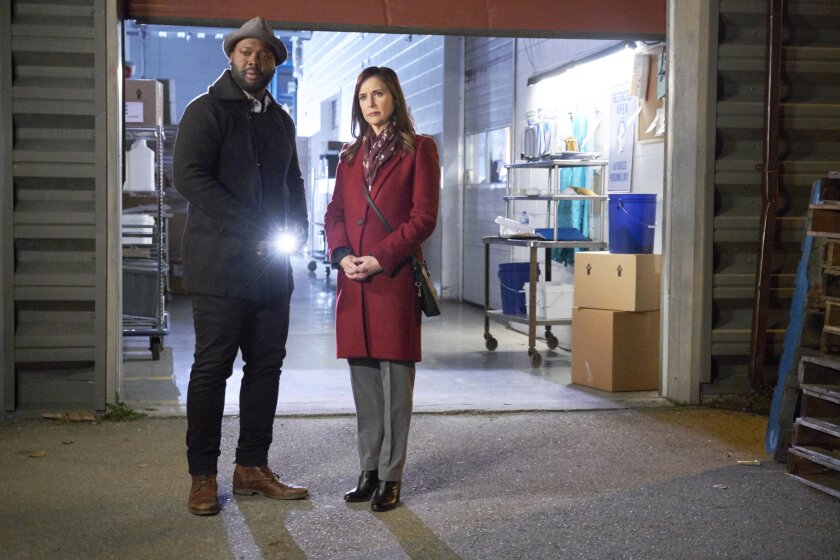 About Hailey Dean Mysteries: Death on Duty