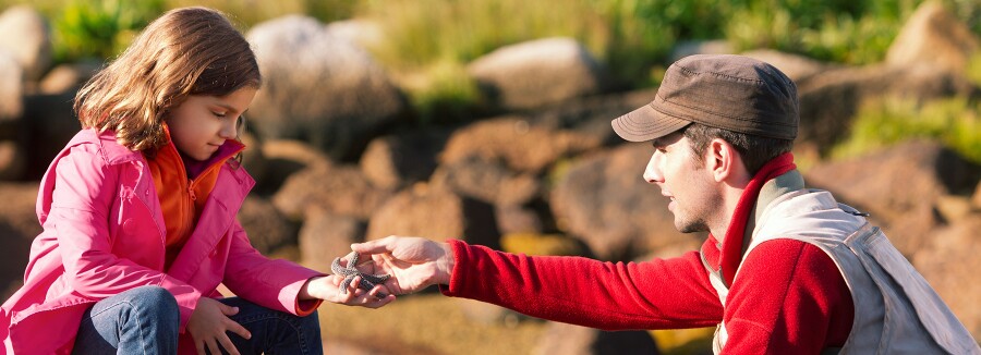 Preview - Christmas with Holly