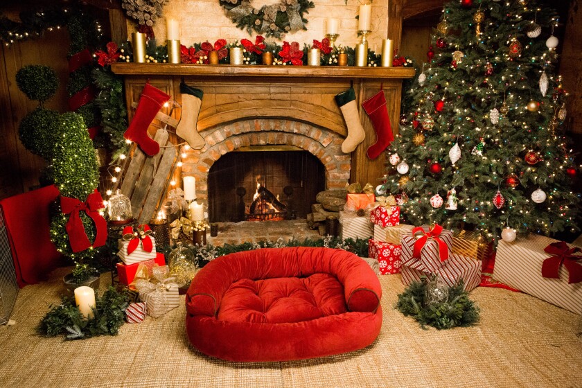 Photos from A Very Happy & Friends Yule Log A Very Happy & Friends