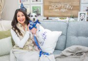 Pet Adoption - Eddie - Home & Family