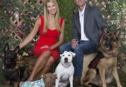 Sneak Peek - Hero Dog Awards 2017