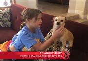 Ruby - Adoption Ever After - Home & Family