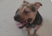 Hostess - Adoption Ever After - Home & Family