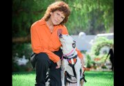 Piglet - Search & Rescue - Hero Dog Awards 2019