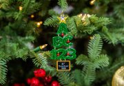 Hallmark Keepsake Ornament Reveal – A+ Teacher - Home & Family