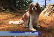Tessa - Adoption Ever After - Home & Family