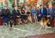 The Hero Dog Awards Finalists: Part 2 - Home & Family