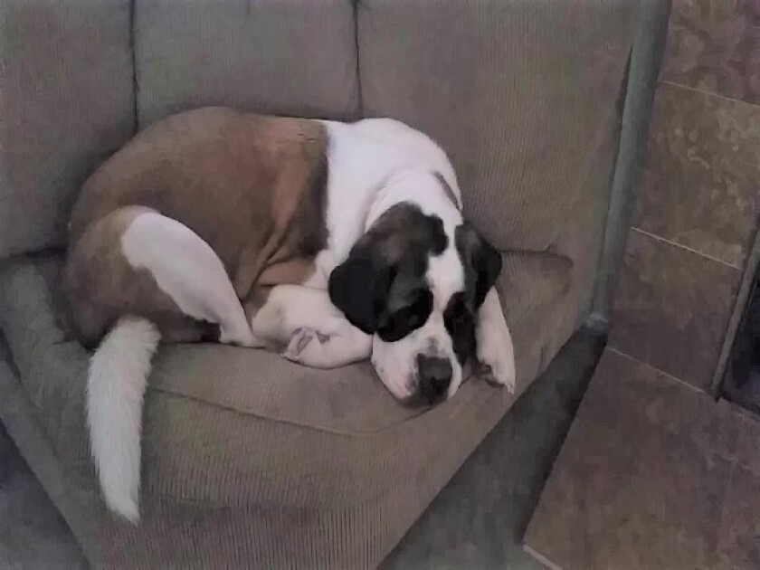 Lazarus - Couch Potato Category