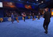 Highlights - Best in Ears - American Rescue Dog Show