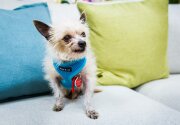 Mildford - Adoption Ever After - Home & Family