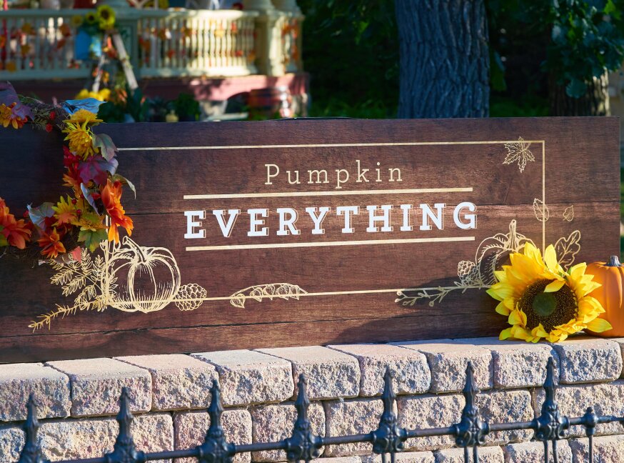 Pumpkin Everything pumpkin-everything