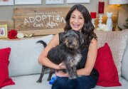 Pet Adoption - Cosmo - Home & Family