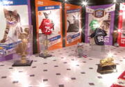 Highlights - Feline Football Hall of Fame- Kitten Bowl VI