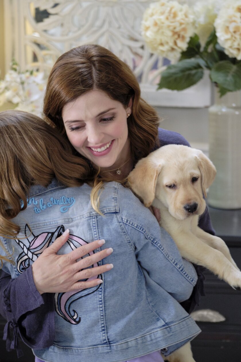 Love Unleashed Photos