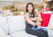 Adoption Ever After - Lukario - Home & Family