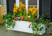 DIY Window Box Planter - Home & Family