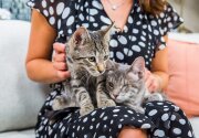 Squirrel and Owl - Adoption Ever After - Home & Family