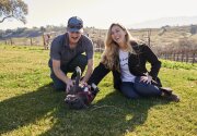 Preview - Hallmark Channel’s Tails of Joy