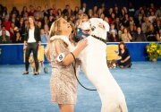 On Location - 2019 American Rescue Dog Show