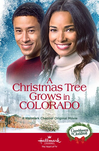 2020 A Christmas Tree Grows In Colorado 2020 A Christmas Tree Grows In Colorado