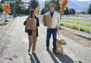Preview - Love, Fall & Order