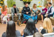 Hero Dog Awards Part 1 - Home & Family