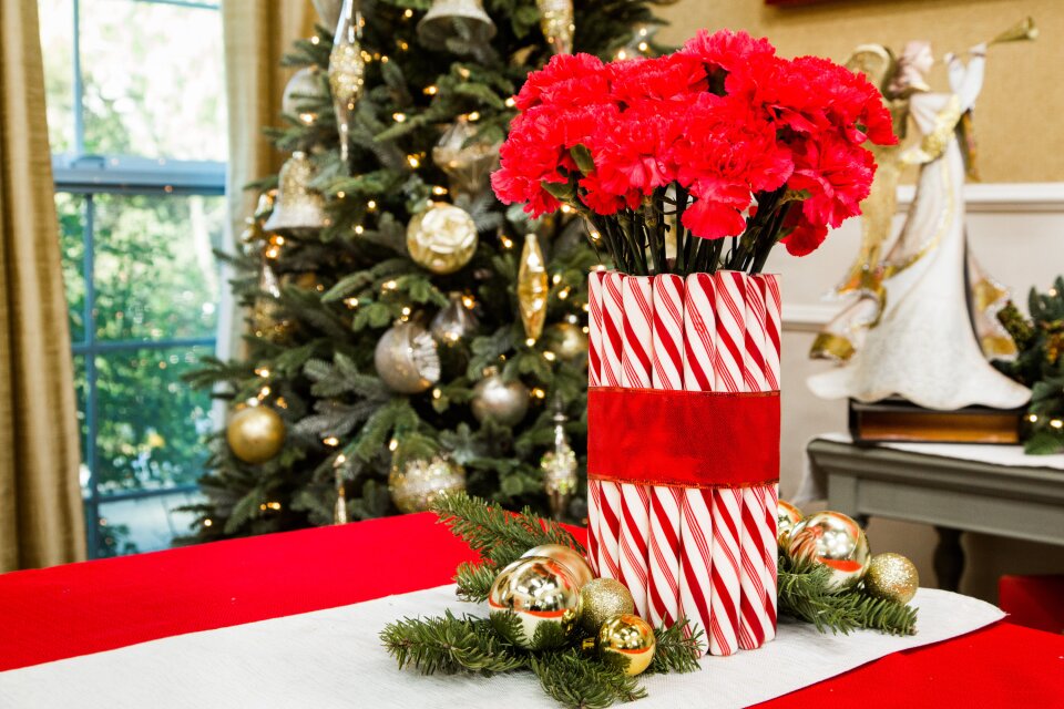 DIY White House Candy Cane Decor