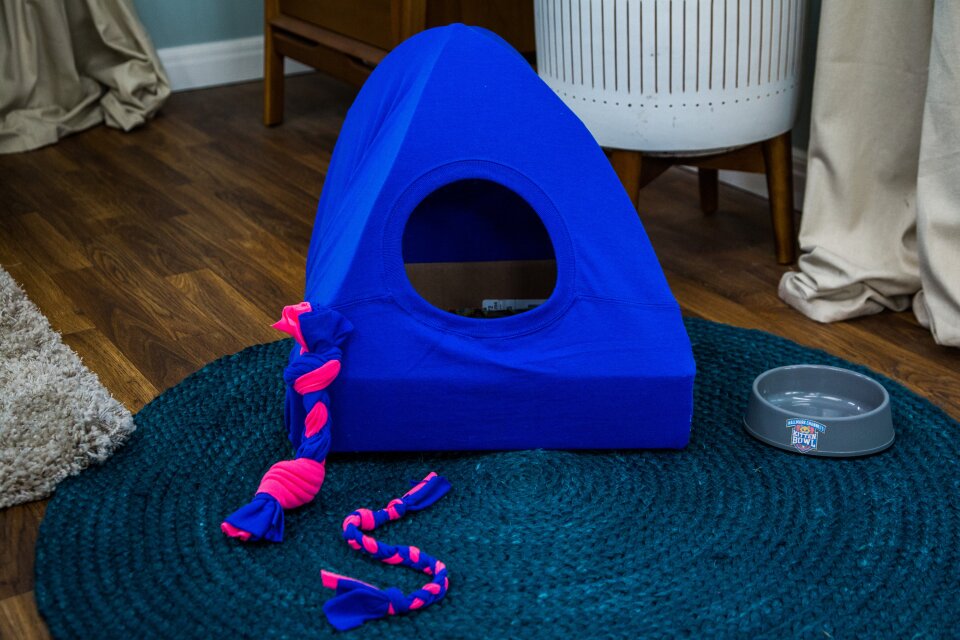 DIY Cat Tent & Dog Toy
