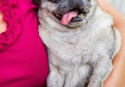 Paulina - Adoption Ever After - Home & Family