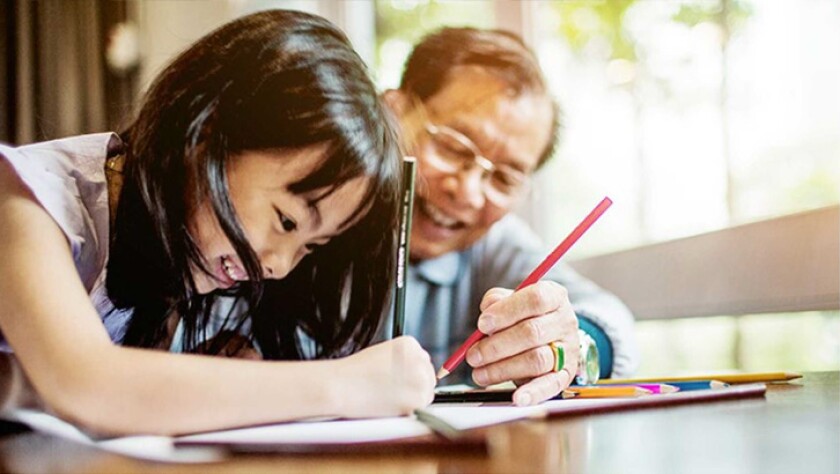 Insights into Insurance — What is whole life insurance?