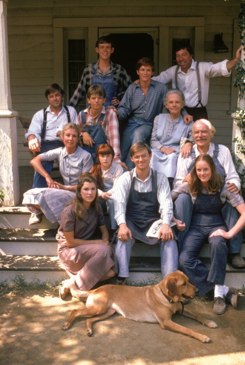 About The Waltons