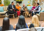 Hero Dog Awards Part 2 - Home & Family