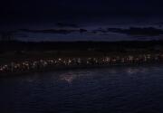 Highlights - My Friend Trace - Chesapeake Shores