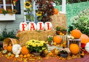 DIY Fall Marquee Pumpkins - Home & Family