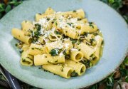 Rigatoni with Zucchini Sauce - Home & Family
