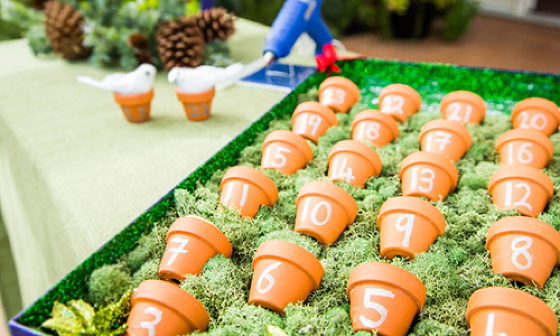 Sophie Uliano's Outdoor Advent Calendar