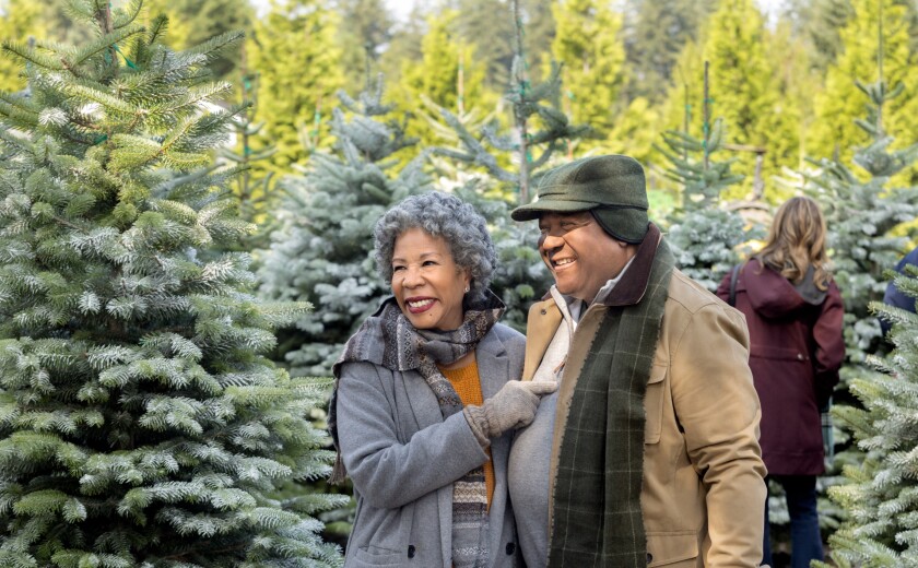 Road to christmas Road to Christmas - Photos