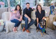 2020 American Rescue Dog Show Winner - Home & Family