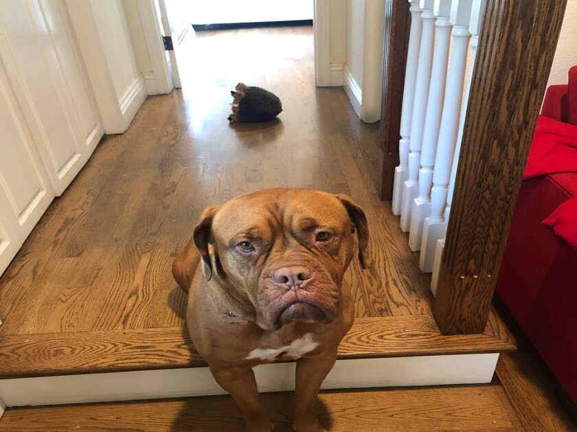 Coco - Wrinkles Category